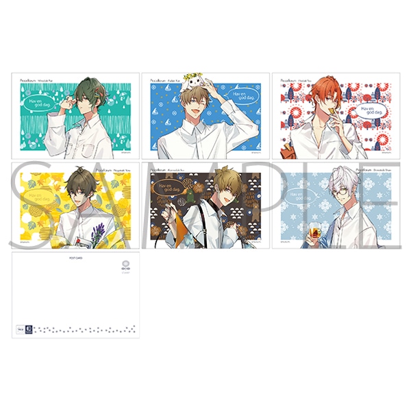 |XgJ[hZbg@Procellarum@6Zbg