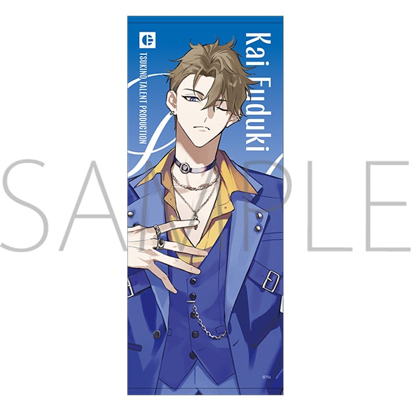 �t�F�C�X�^�I���@���� �C�@Procellarum