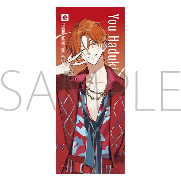 �t�F�C�X�^�I���@�t�� �z�@Procellarum