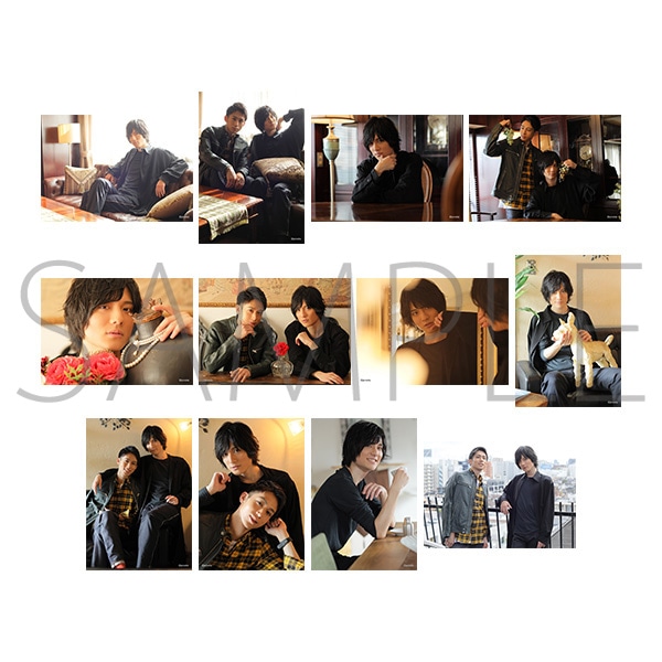 �v���X�eTV �u���}�C�h12���Z�b�g�@���������