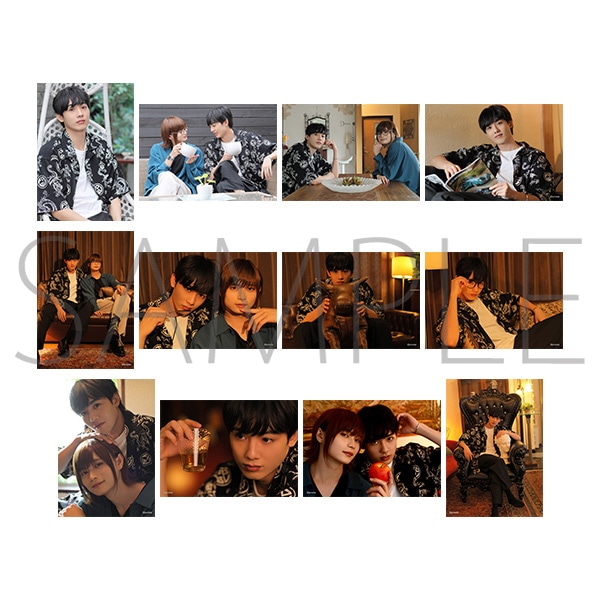 �v���X�eTV �u���}�C�h12���Z�b�g�@���ёז�