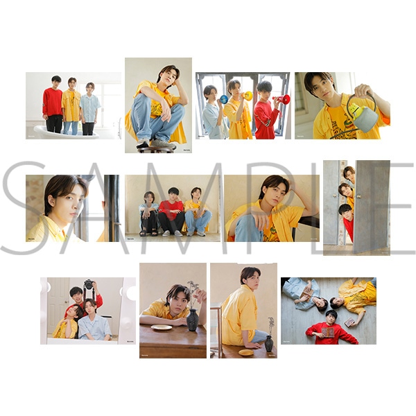 �v���X�eTV �{�l���E�u���}�C�h12���Z�b�g�@�g�c�m��