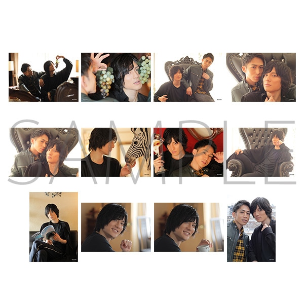 �v���X�eTV �{�l���E�u���}�C�h12���Z�b�g�@���������