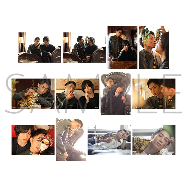 �v���X�eTV �{�l���E�u���}�C�h12���Z�b�g�@�����] ��