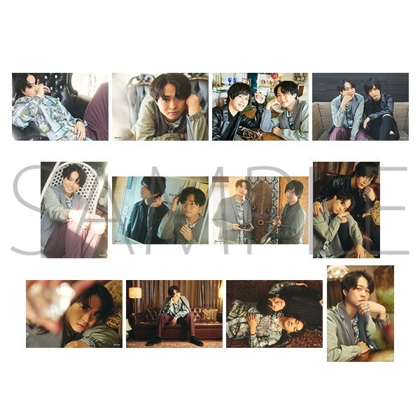 �v���X�eTV �{�l���E�u���}�C�h12���Z�b�g�@���g�D�P