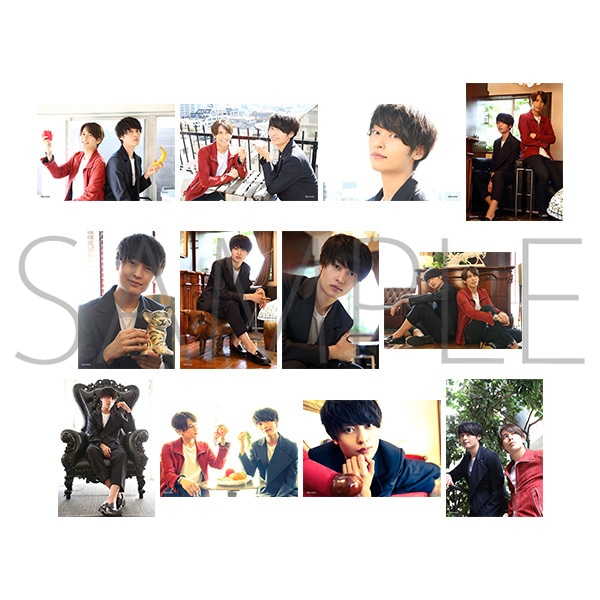 �v���X�eTV �{�l���E�u���}�C�h12���Z�b�g�@���䑾��