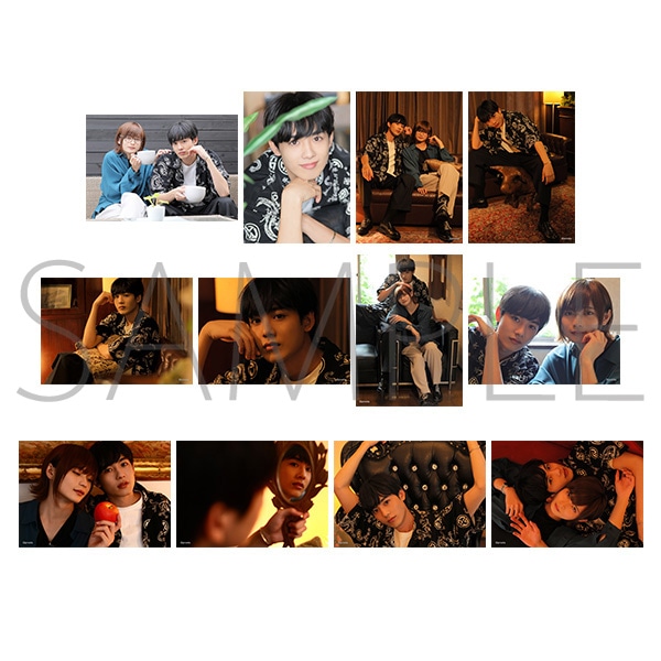 �v���X�eTV �{�l���E�u���}�C�h12���Z�b�g�@���ёז�