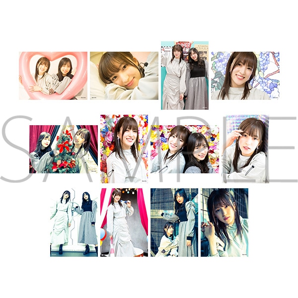 �v���X�eTV �{�l���E�u���}�C�h12���Z�b�g�@�k ����