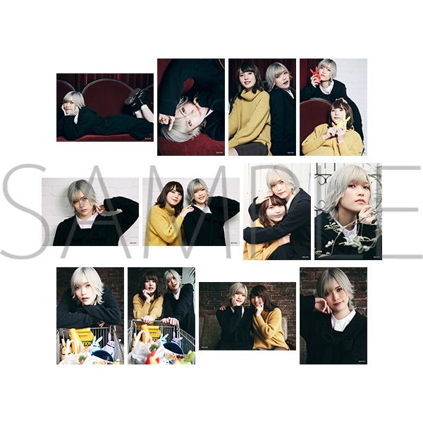 �v���X�eTV �{�l���E�u���}�C�h12���Z�b�g�@�V������