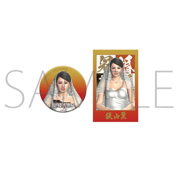 �ʃo�b�W���V���b�g�C���[�W�J�[�h�Z�b�g ���R�O